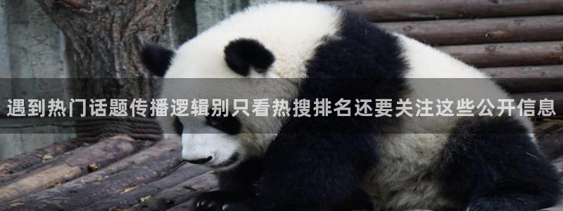每日热门事件：遇到热门话题传播逻辑别只看热搜排名还要关注这些公开信息