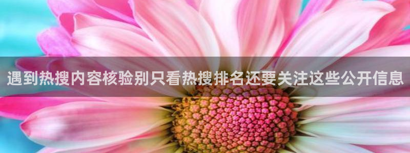 黑料热点动态：遇到热搜内容核验别只看热搜排名还要关注这些公开信息