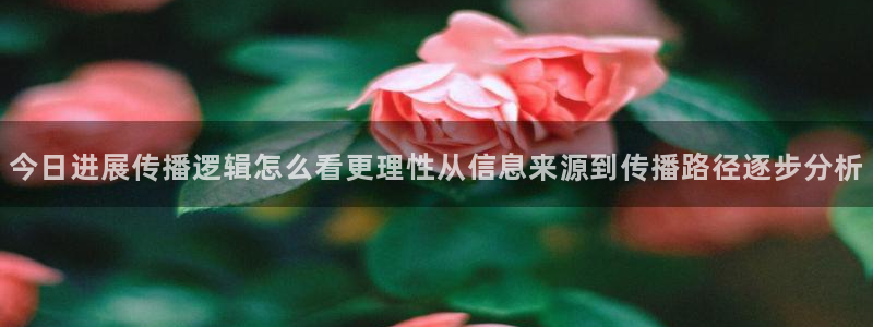 黑料网络话题：今日进展传播逻辑怎么看更理性从信息来源到传播路径逐步分析