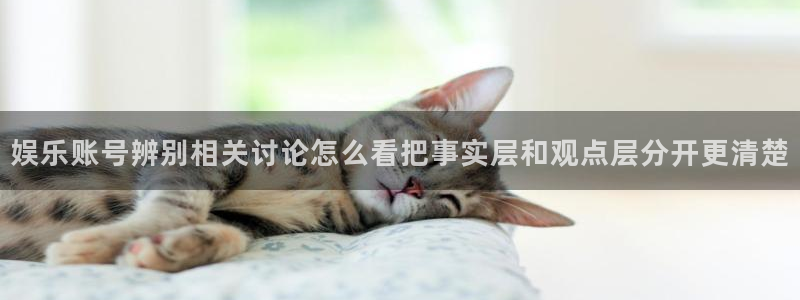 黑料爆料今日事件：娱乐账号辨别相关讨论怎么看把事实层和观点层分开更清楚