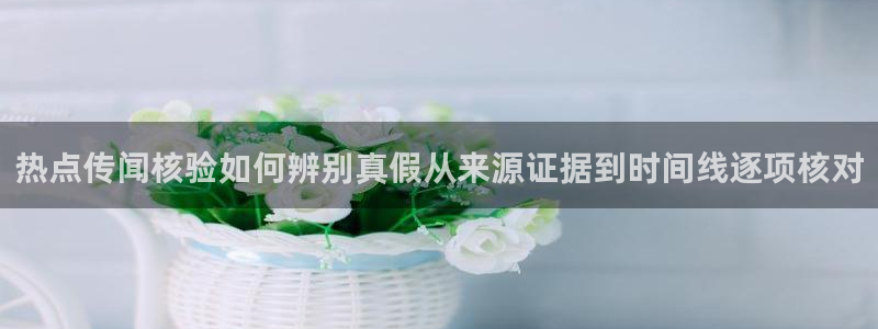 黑料爆料网络热点网：热点传闻核验如何辨别真假从来源证据到时间线逐项核对