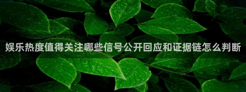 黑料爆料中心:娱乐热度值得关注哪些信号公开回应和证据链怎么判断