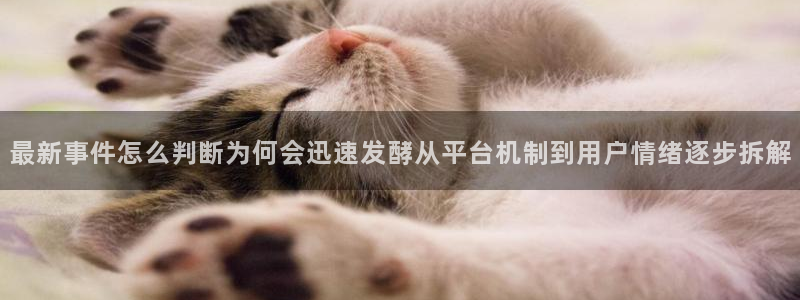 黑料爆料信息大全：最新事件怎么判断为何会迅速发酵从平台机制到用户情绪逐步拆解