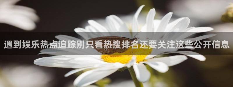黑料爆料今日热点：遇到娱乐热点追踪别只看热搜排名还要关注这些公开信息