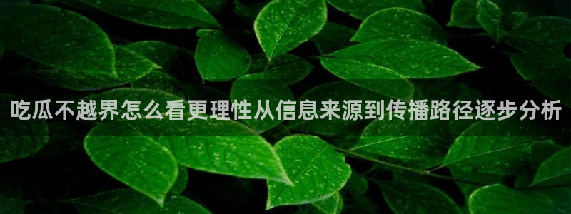 黑料爆料热点事件:吃瓜不越界怎么看更理性从信息来源到传播路径逐步分析