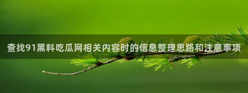 黑料网络话题：查找91黑料吃瓜网相关内容时的信息整理思路和注意事项
