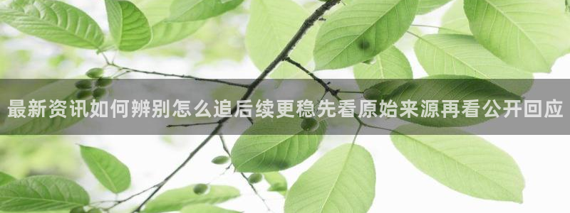 热点话题大全:最新资讯如何辨别怎么追后续更稳先看原始来源再看公开回应