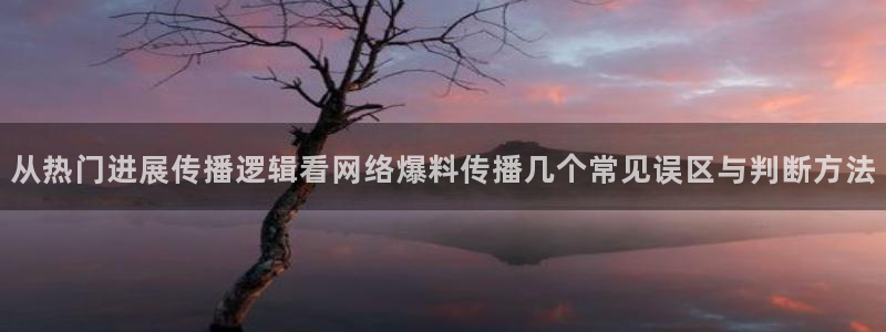 网络黑料事件:从热门进展传播逻辑看网络爆料传播几个常见误区与判断方法