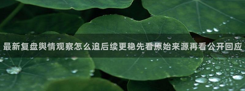 黑料爆料每日热点:最新复盘舆情观察怎么追后续更稳先看原始来源再看公开回应
