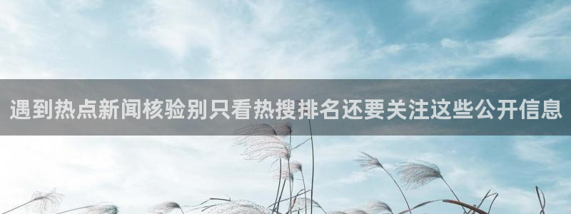 黑料新闻网:遇到热点新闻核验别只看热搜排名还要关注这些公开信息